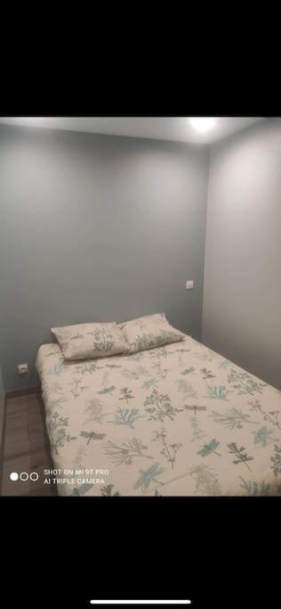 Appartement Entierement Refait A Neuf A 150 M De La Plage 纳博讷普拉日 外观 照片